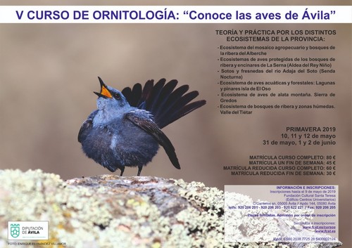 Conoce las Aves de Ávila (.pdf)