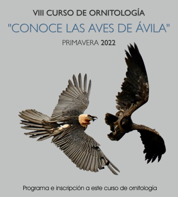 Conoce las Aves de Ávila (.pdf)