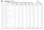 Estado de ejecución de gastos, a 31 de diciembre de 2024
